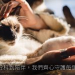 琪欣動物醫院