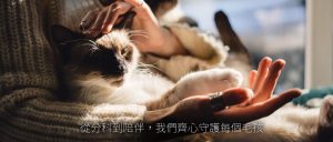 琪欣動物醫院