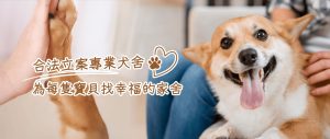 小基基寵物犬舍