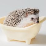 愛情街角影像團隊