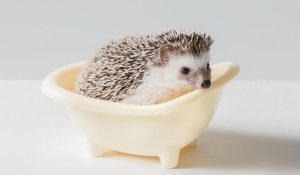 愛情街角影像團隊