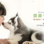 磨鼻子動物醫院