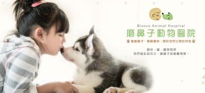磨鼻子動物醫院